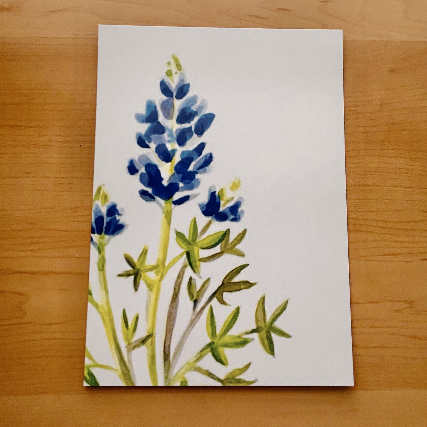 Assorted Texas Flower Flat Cards (12pc)
