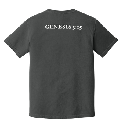 Graphite "Wounded Victor" Tee