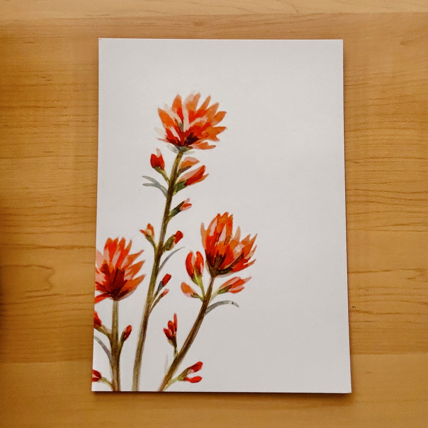 Assorted Texas Flower Flat Cards (12pc)