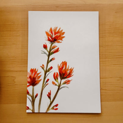 Assorted Texas Flower Flat Cards (12pc)